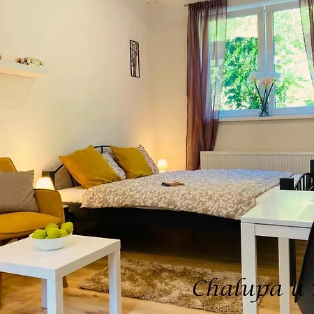U Bohumila Apartment