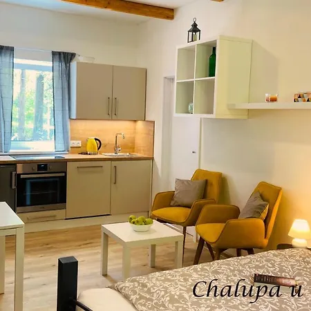 U Bohumila Apartment