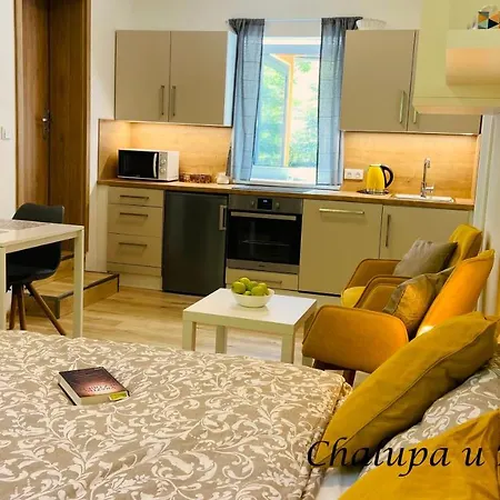 U Bohumila Apartment *