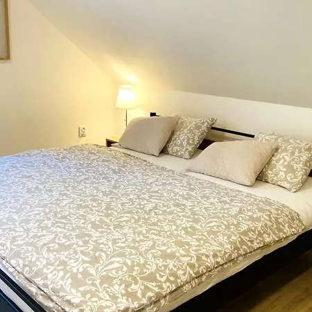 U Bohumila Apartment *
