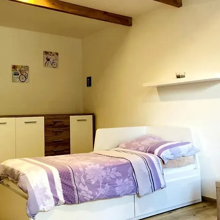 U Bohumila Apartment *
