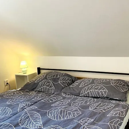 Apartment U Bohumila *