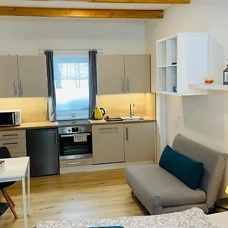 U Bohumila Apartment *