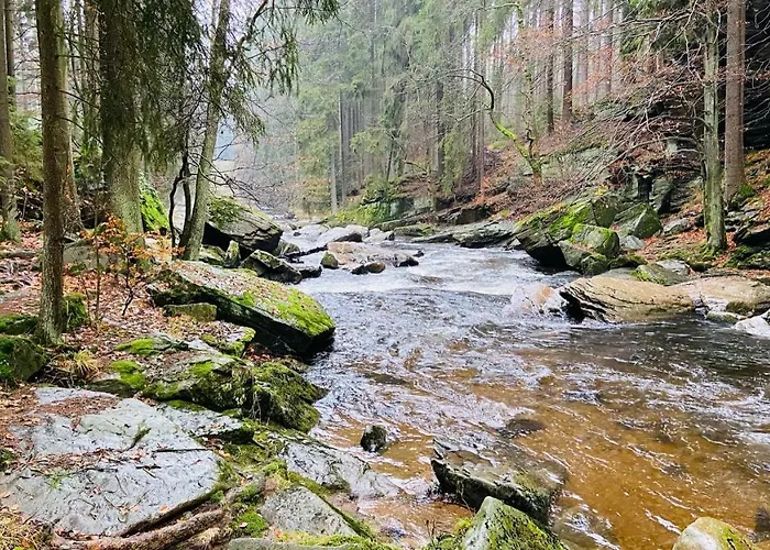 Appartamento U Bohumila Rybna nad Zdobnici